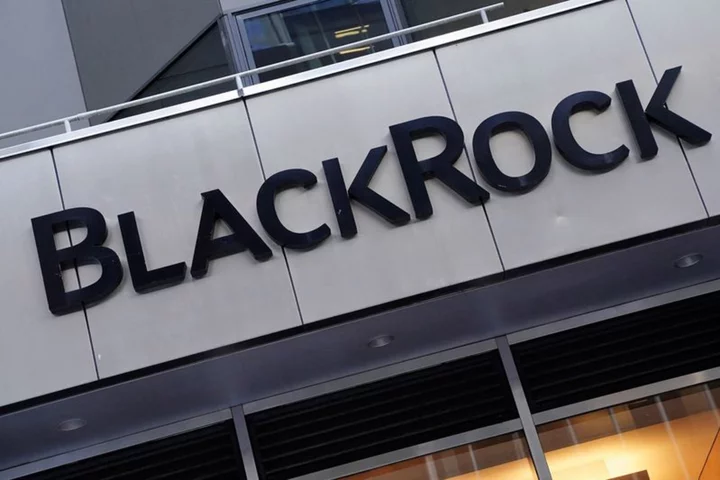Subpoenas possible for BlackRock, MSCI over China investments -US House panel chair